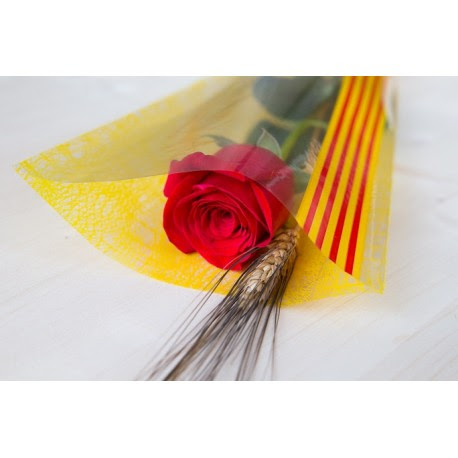 Roses per Sant Jordi 